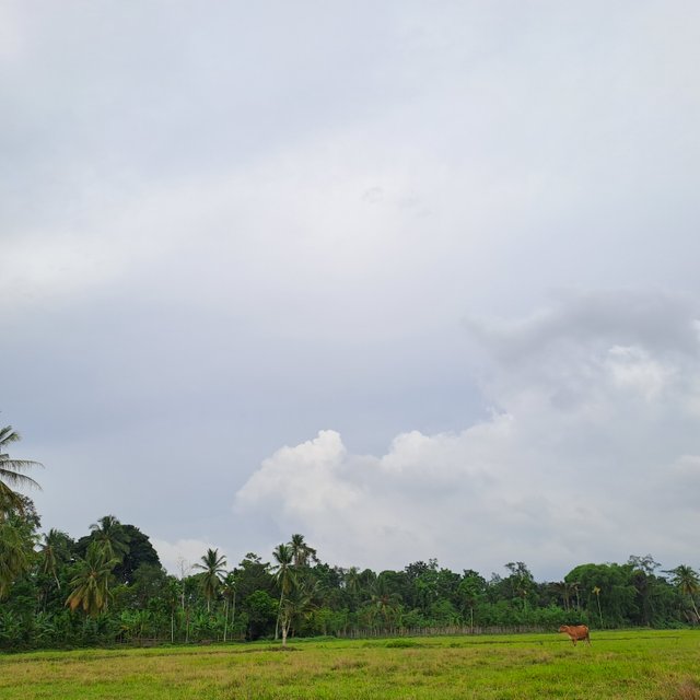 20250621_153024.jpg