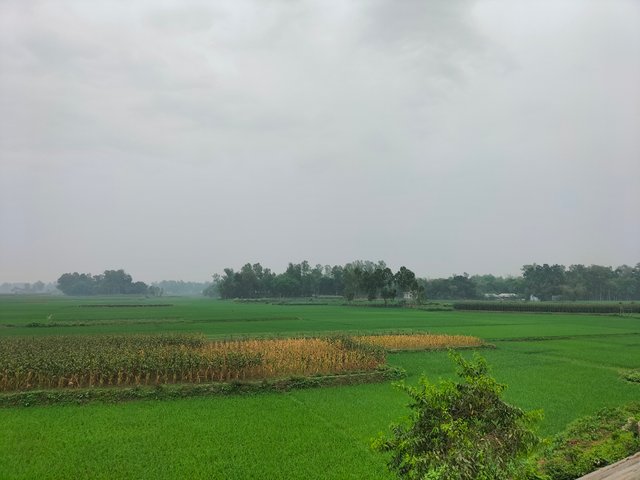IMG20250321132641.jpg