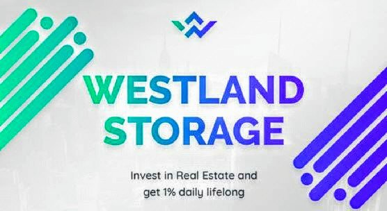 Westland-Storage-Real-Estate.jpg