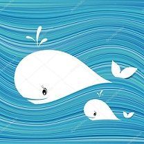 depositphotos_11747029-stock-illustration-white-whale.jpg
