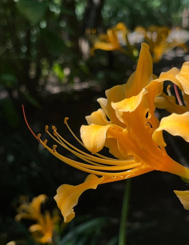 IMG_20250820_174901.jpg