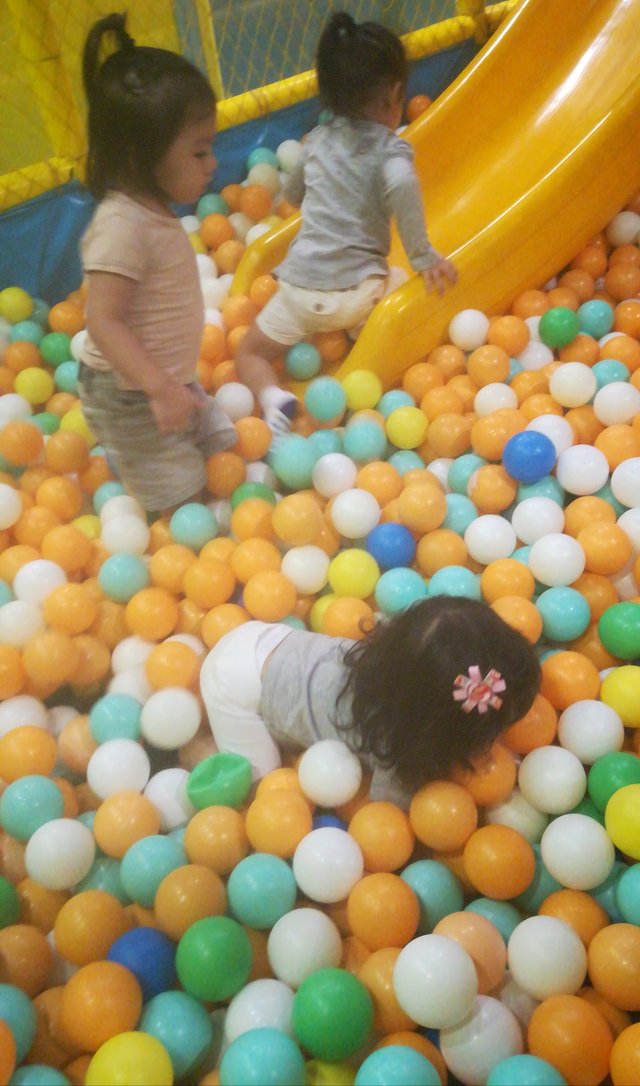 IMG_20190217_131228.jpg