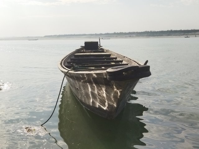 IMG_20250112_094537.jpg