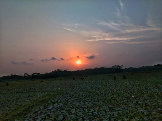 IMG_20240403_174655-01.jpeg