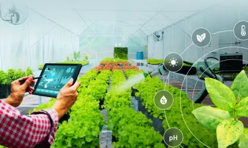use-of-modern-technology-in-agriculture.webp