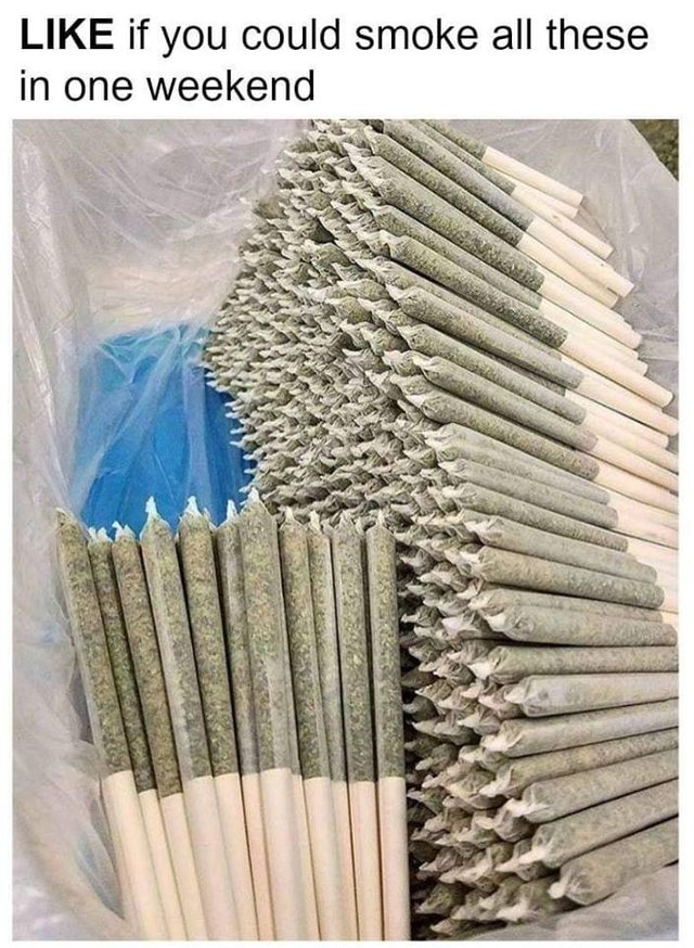 can you smoke them all.jpg