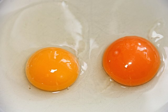 egg-yolk-g082db4c62_1280.jpg