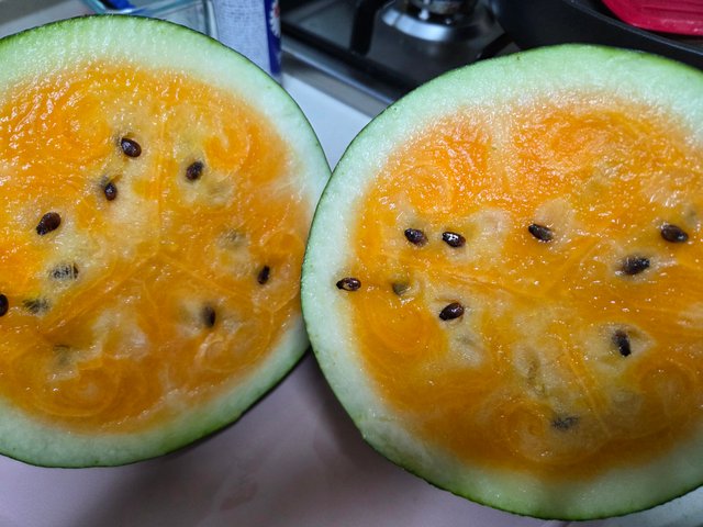 20250810_082016.jpg