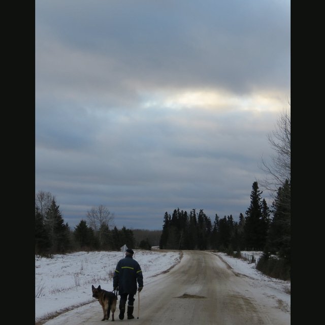 Don walking Bruno into interesting skyline light pink from sunrise.JPG