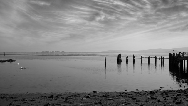 IMG_20170903_165445-bw-ocean-sitting-by-the-bay-#361.png