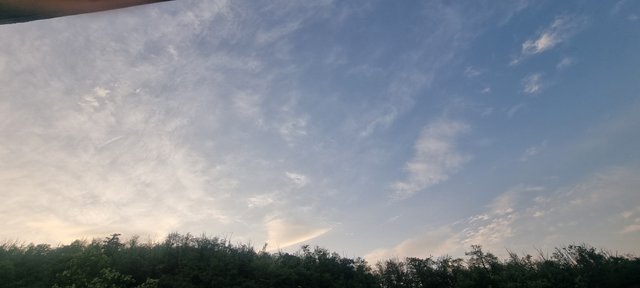 1000029493.jpg