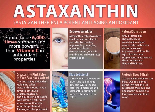 Astaxanthin16.jpg