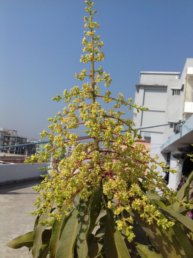 20190125_100956.jpg