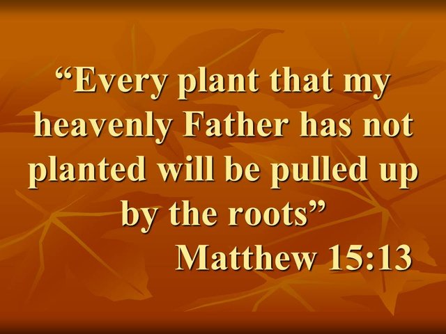 The wisdom of Jesus. Every plant that my heavenly Father has not planted will be pulled up by the roots. Matthew 15,13.jpg