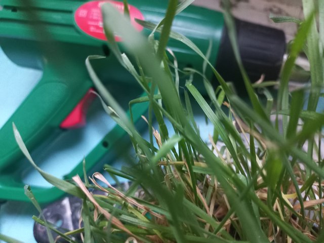 20250902_190412.jpg