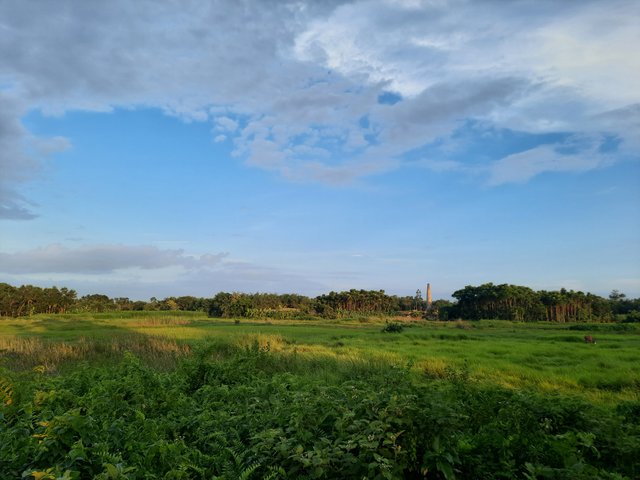 20220704_175850.jpg