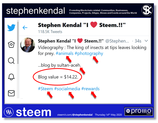 Steemit Steem Blog.jpg