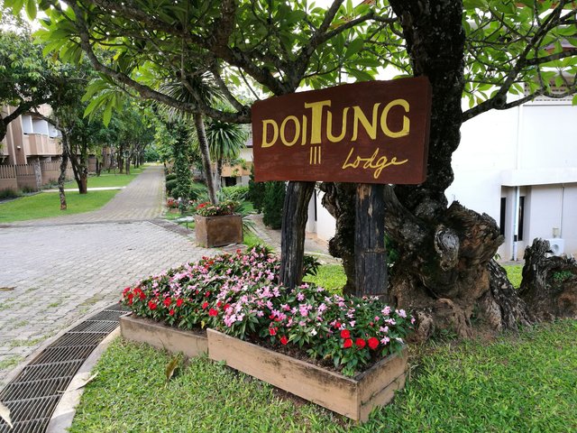 Doi Tung3.jpg