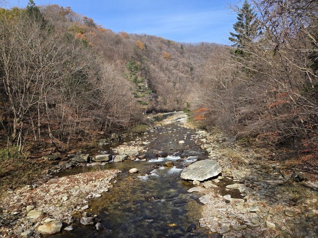 카카오스토리_2025_11_01 23_50_43.jpg