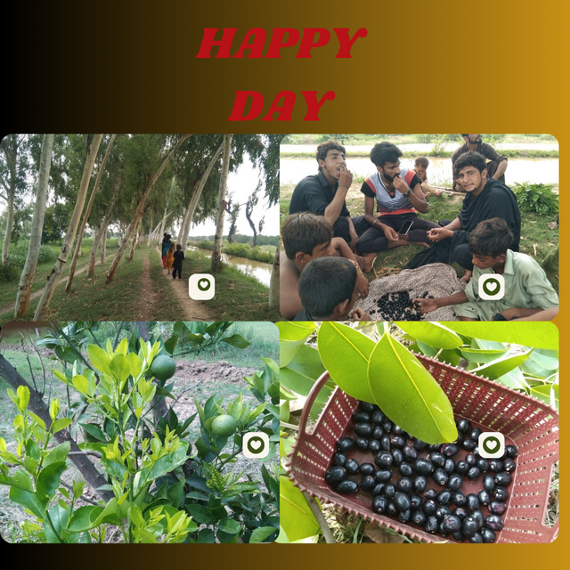 Green Beige Photo College Celebrating Women's Achievements Instagram Post_20240721_151538_0000.png