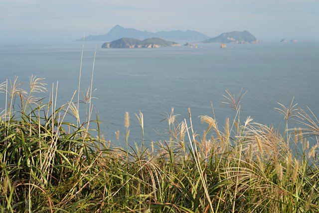 b-DSC03926.JPG