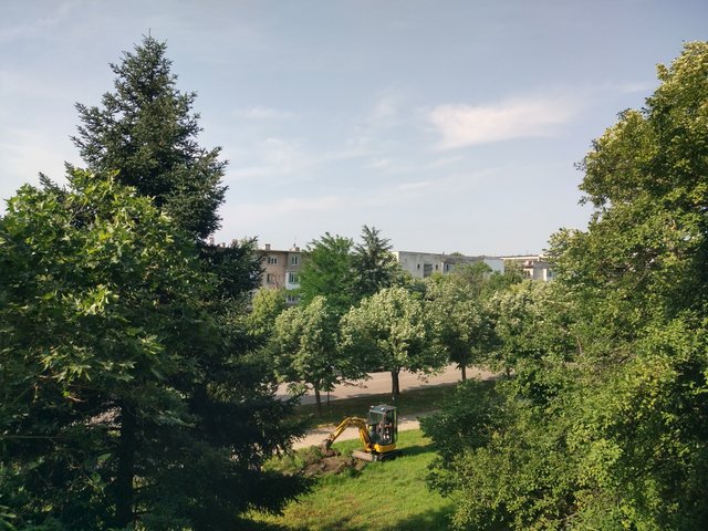 IMG_20250606_090634_HDR.jpg