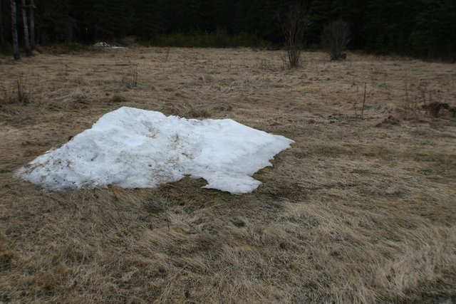 snow pile-blob.jpg