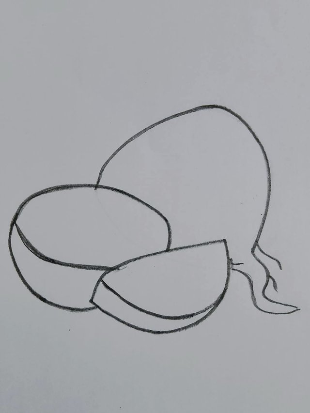 1000088522.jpg