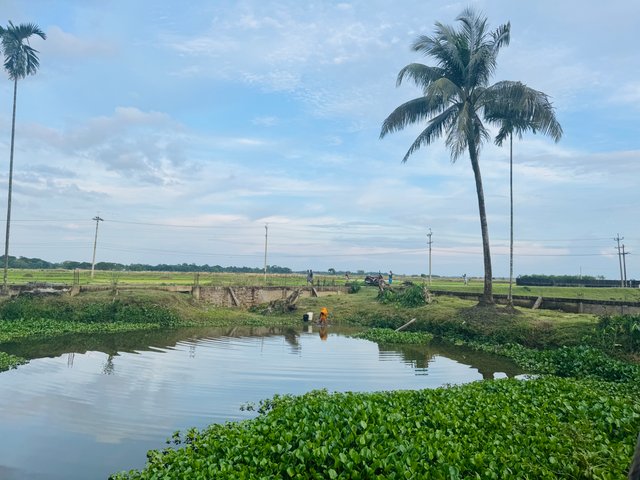 IMG_0212.jpeg