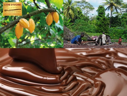 cote-divoire-7-cacao.jpg