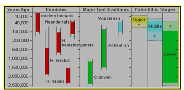 Division-of-the-Paleolithic-Era-and-the-corresponding-evolving-hominids-which-lived.png