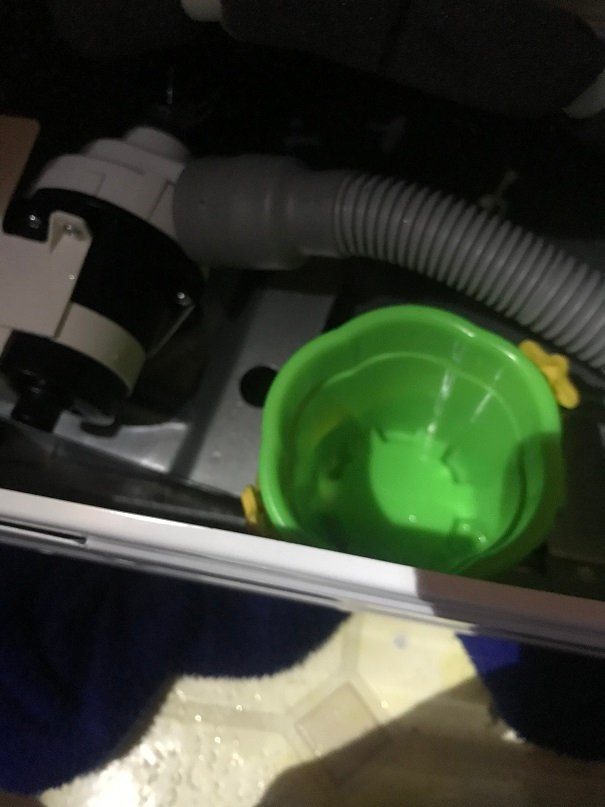 IMG_1243.jpeg