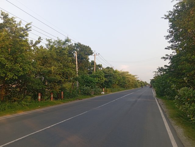 1000581452.jpg