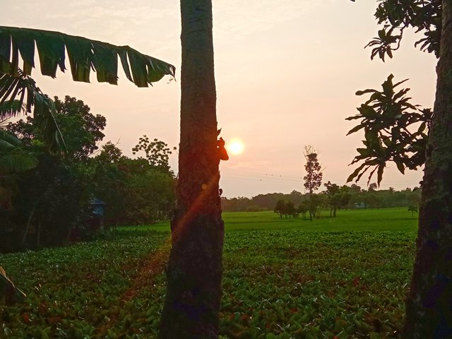 IMG_20250923_074551.jpg