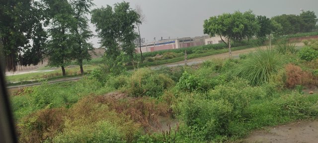 IMG_20250714_062328.jpg