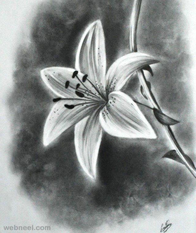 15-flower-drawing.jpg