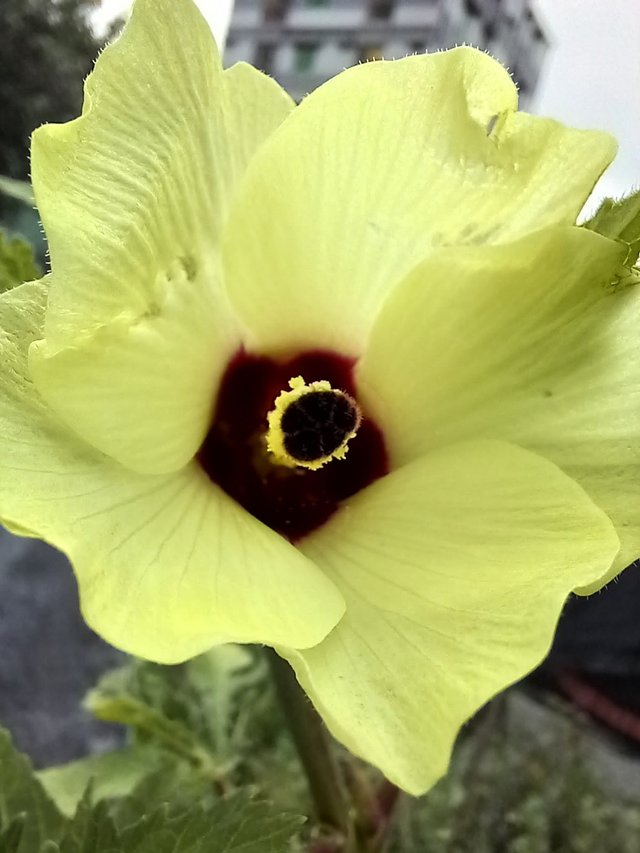 20220916_110031.jpg