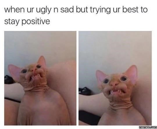 cat-ur-ugly-n-sad-but-trying-ur-best-stay-positive-memescom.jpg