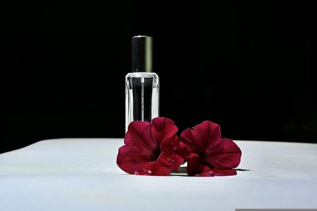 perfume-g9c0e53966_1920.jpg