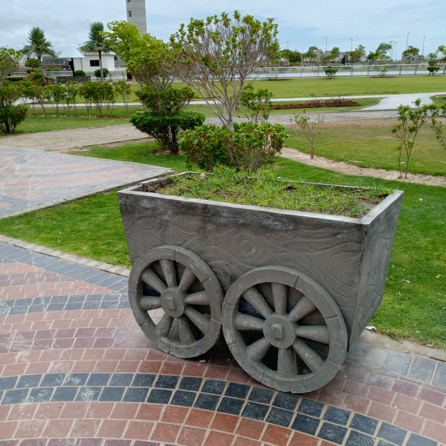 1000019552.jpg