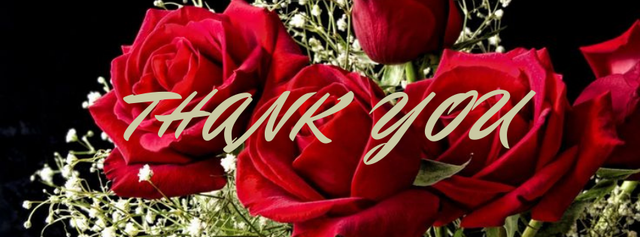Wedding Thank You Facebook Cover_20250904_204855_0000.png