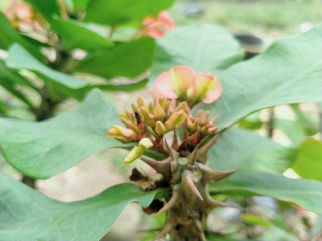 IMG20250321142945.jpg