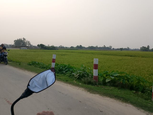 1000037972.jpg
