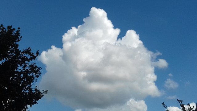 20180726_111128.jpg