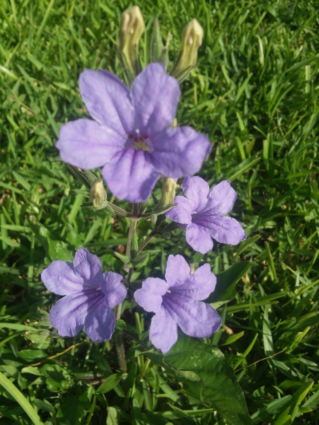 20180716_090238.jpg