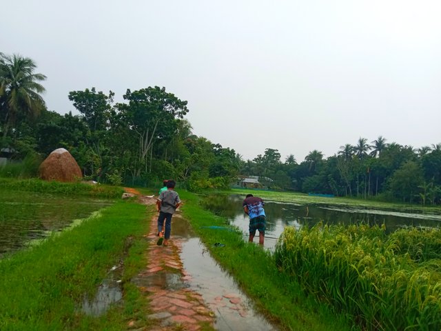 IMG_20250807_201312.jpg