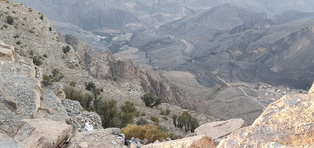 20201127_171302.jpg