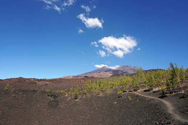 Mount_Teide_pre_002c_s.jpg