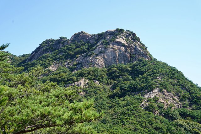 b-DSC01252.JPG