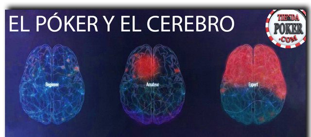 tiendadelpoker-el-poker-ayuda-a-tu-cerebro-2.jpg